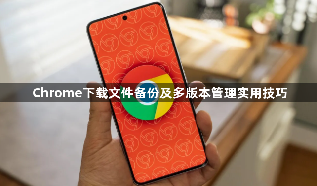 Chrome下载文件备份及多版本管理实用技巧1