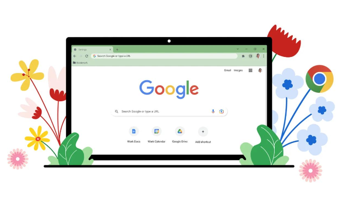 google Chrome浏览器隐私设置及数据保护指南