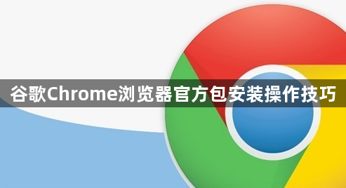 谷歌Chrome浏览器官方包安装操作技巧1