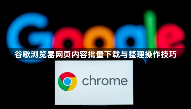 谷歌浏览器网页内容批量下载与整理操作技巧1