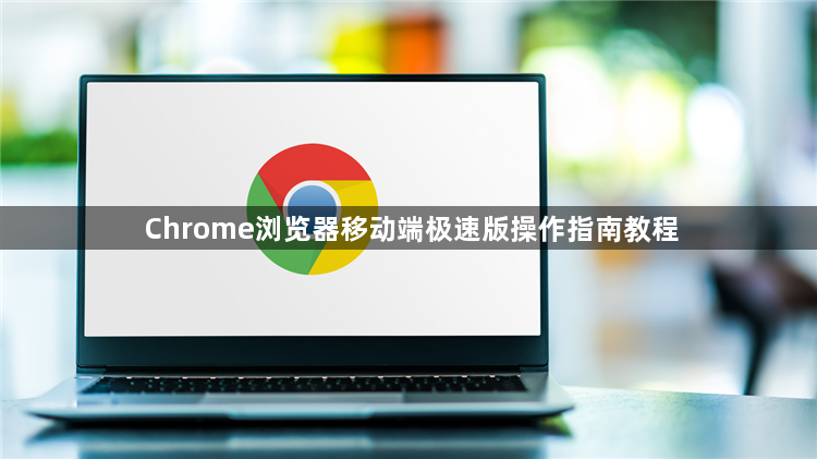 Chrome浏览器移动端极速版操作指南教程1