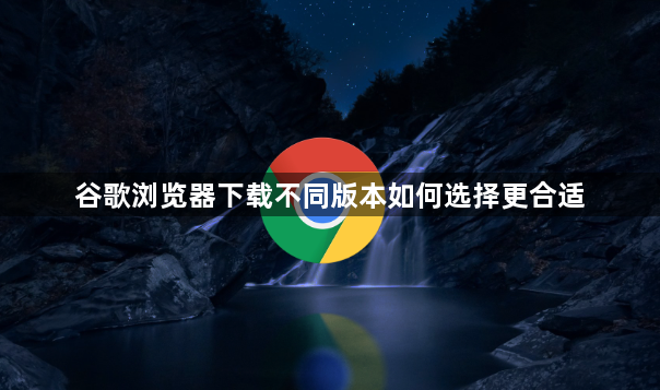 谷歌浏览器下载不同版本如何选择更合适1