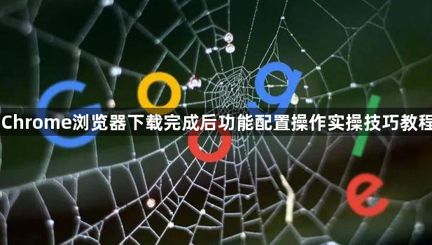 Chrome浏览器下载完成后功能配置操作实操技巧教程1