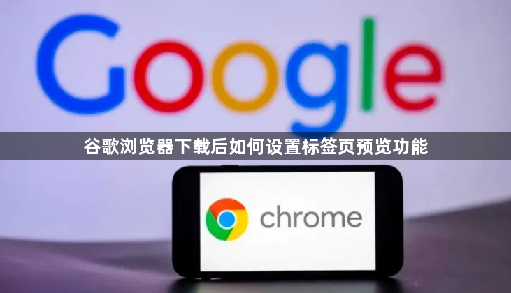 谷歌浏览器下载后如何设置标签页预览功能1