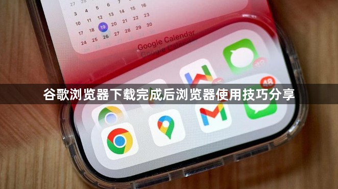 谷歌浏览器下载完成后浏览器使用技巧分享1