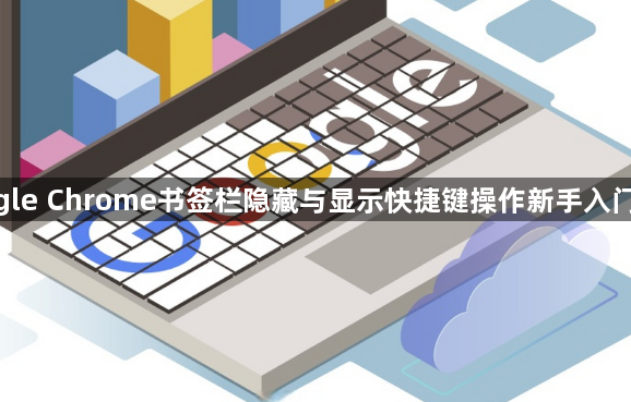 google Chrome书签栏隐藏与显示快捷键操作新手入门总结1